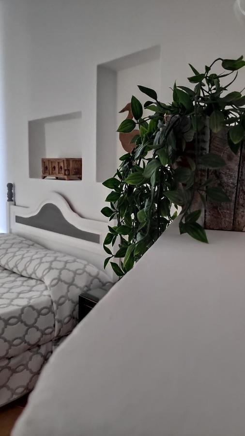 Apartment Aptos Con Piscina El Flamboyan 1